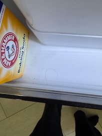 Hair in the fridge