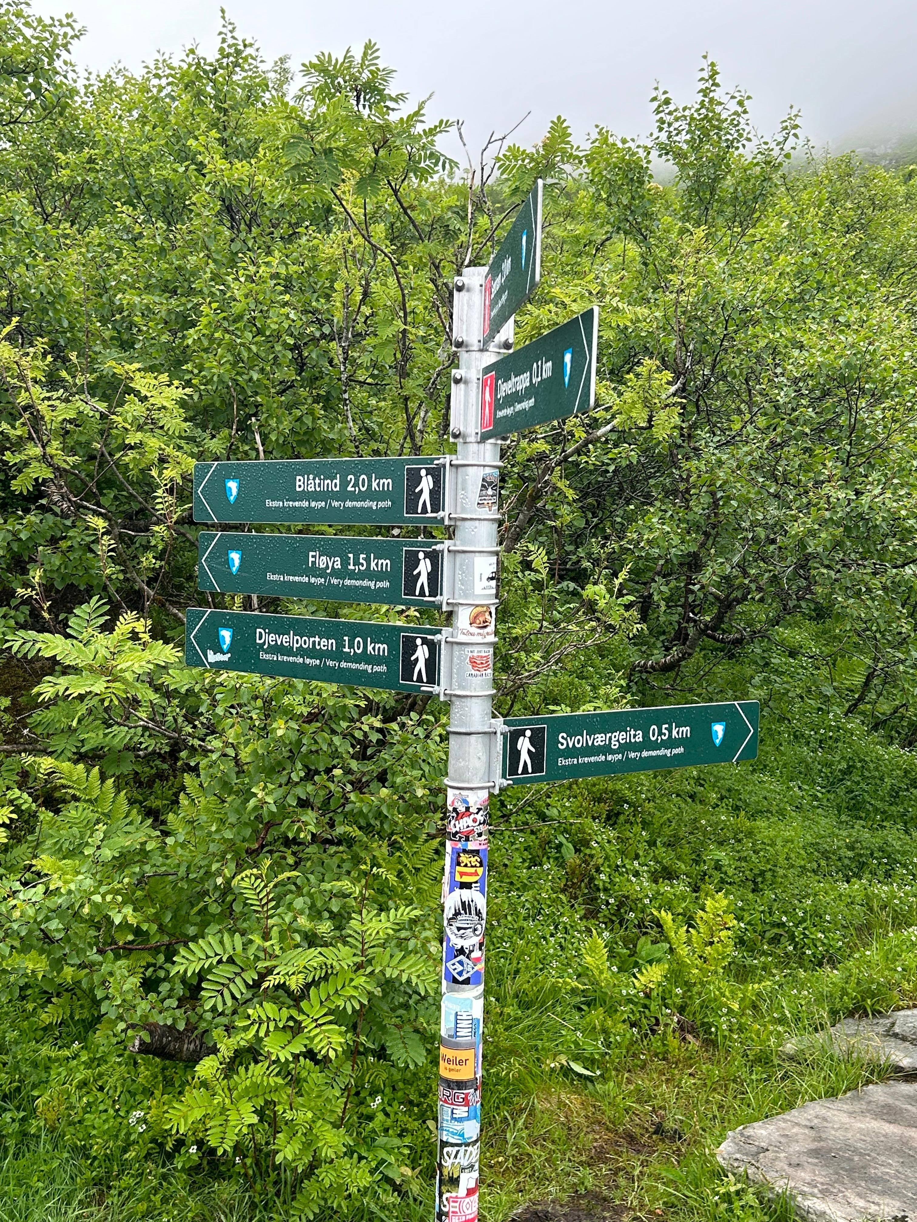 Mange fine løyper/topper