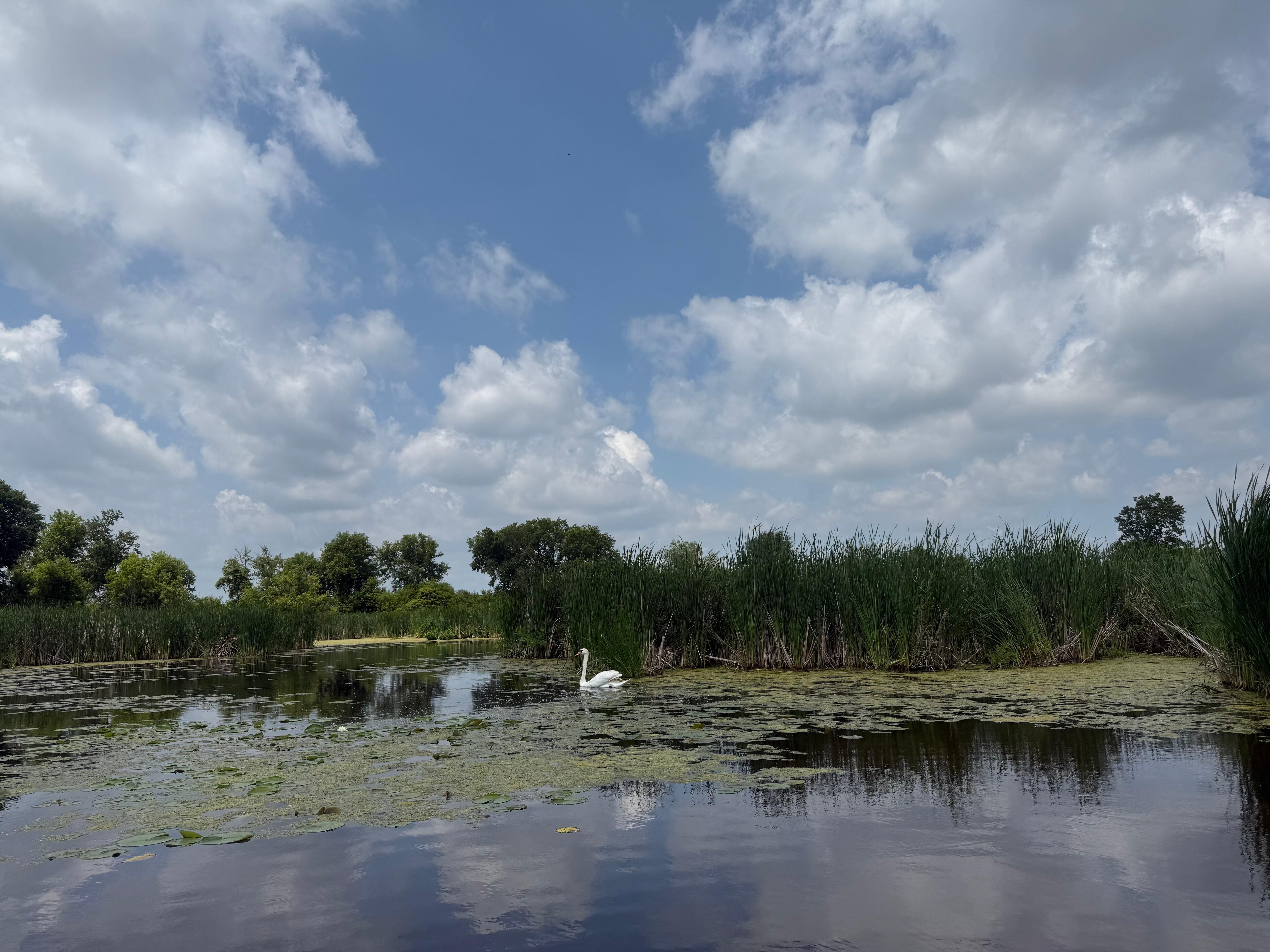 Bell Lake