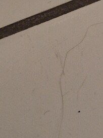Hair on floor in bathroom #1
