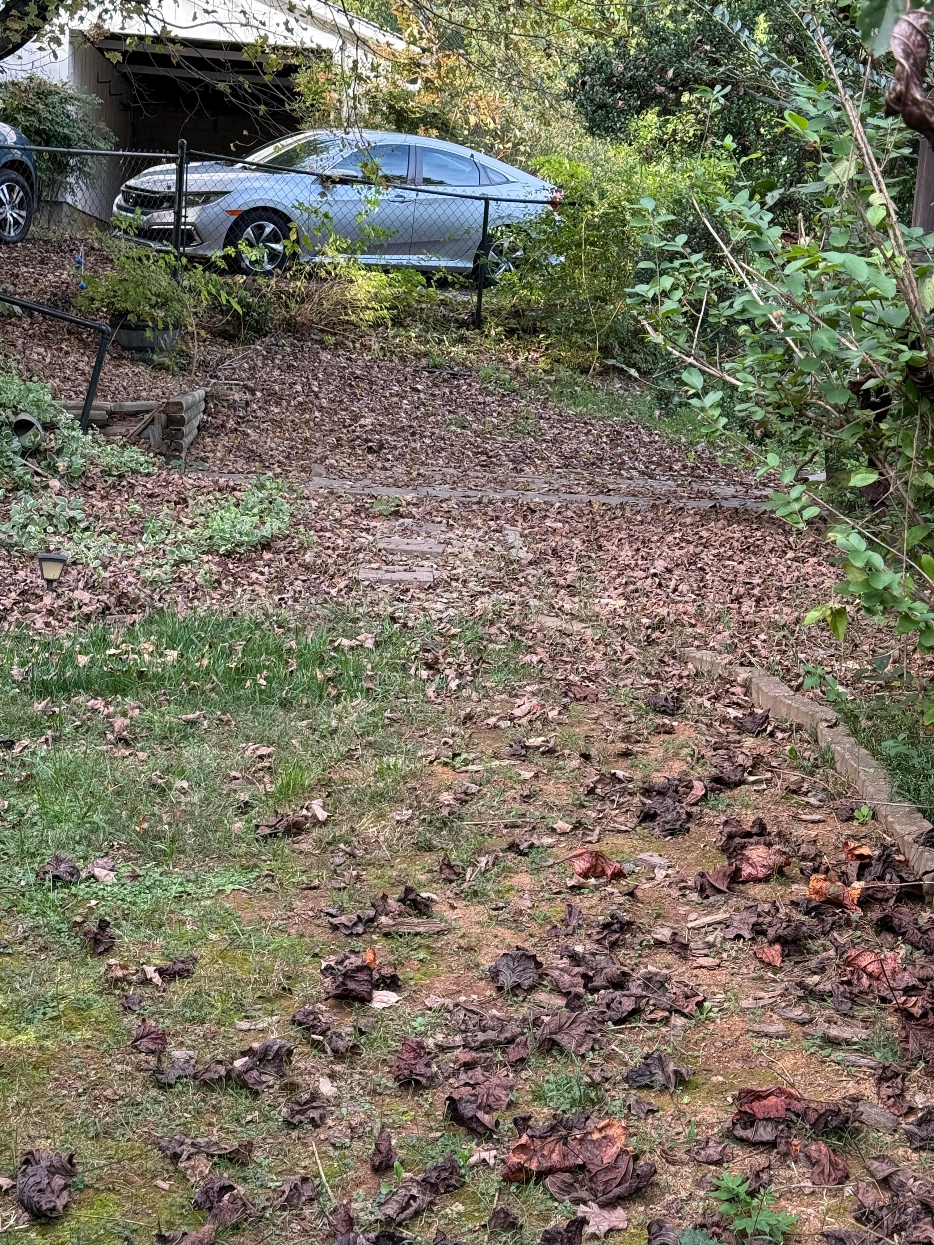 Yard debris uncleared (almost unrecognizable when compared to listing photo of same area)