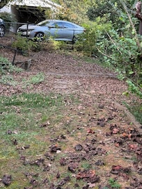 Yard debris uncleared (almost unrecognizable when compared to listing photo of same area)