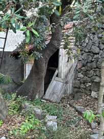 Eine Gartenecke
