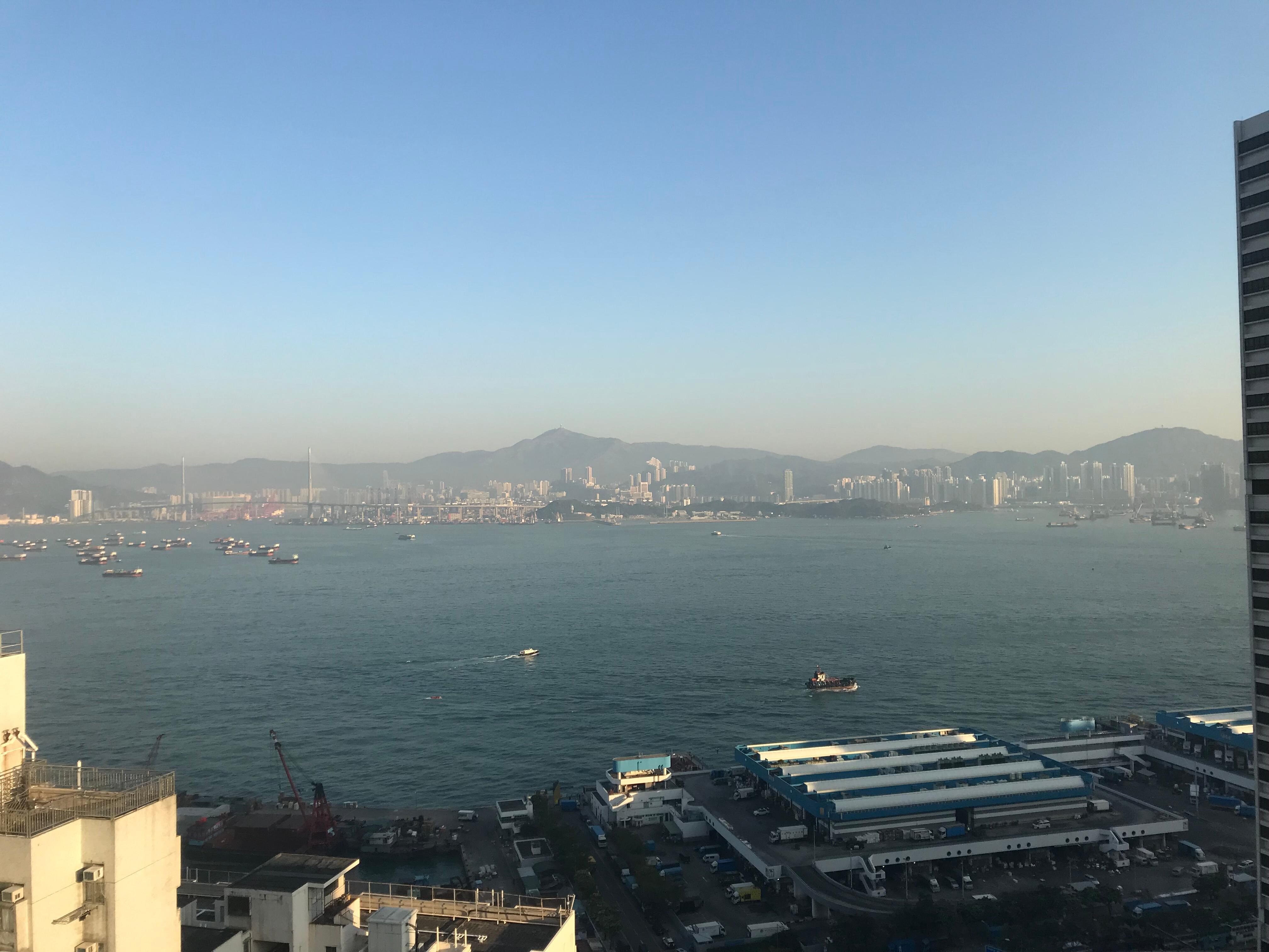 プールからの景色
