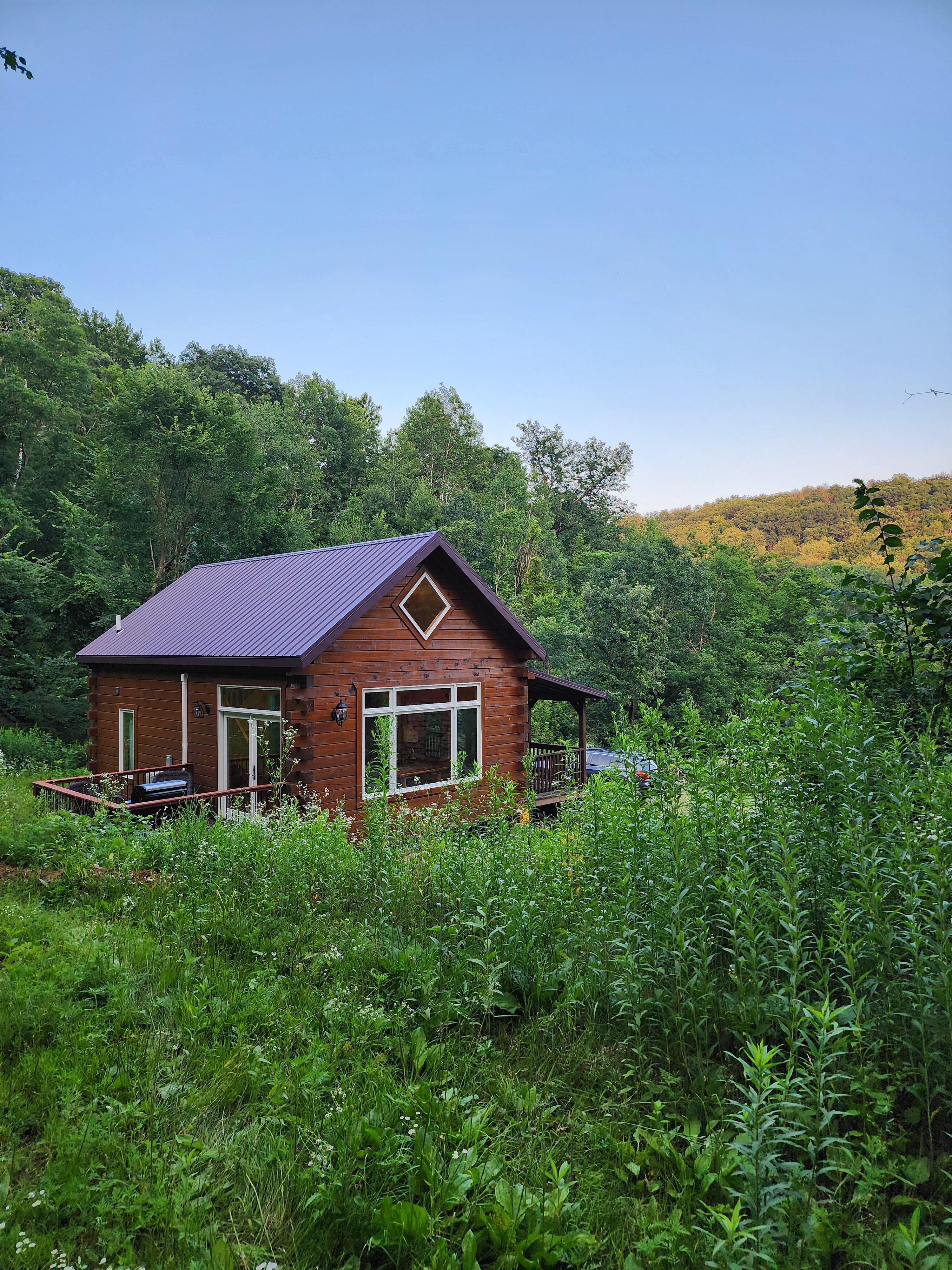The Cabin