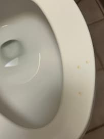 Dried pee