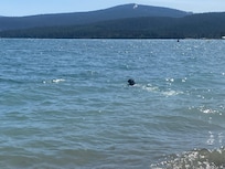 Lake Forest Beach