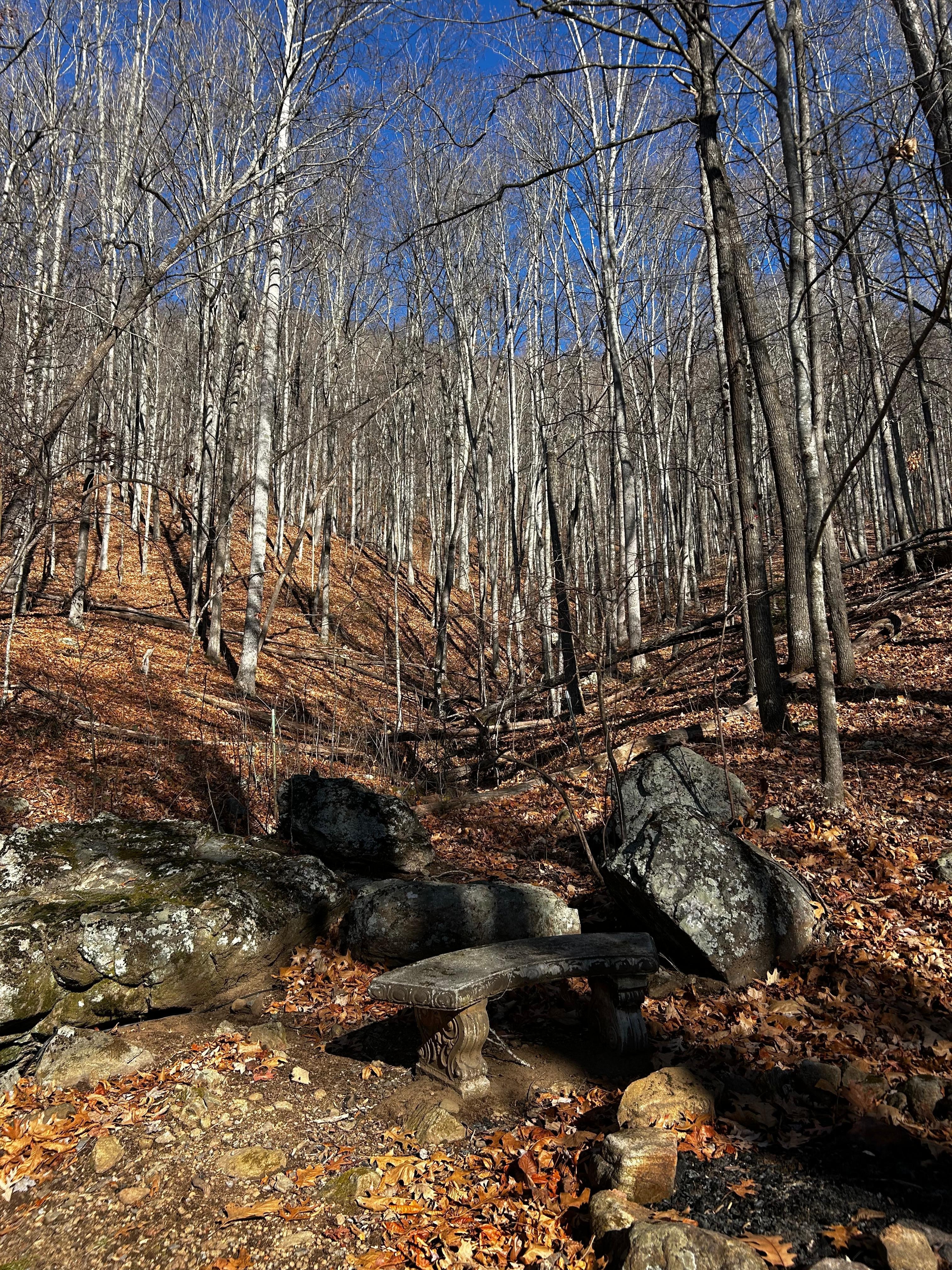 Fire pit view behind home