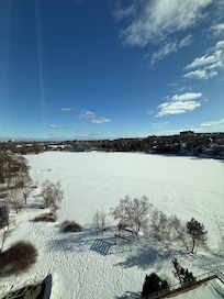 Lake view (Frozen)