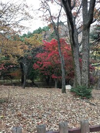 Seoraksan National Park