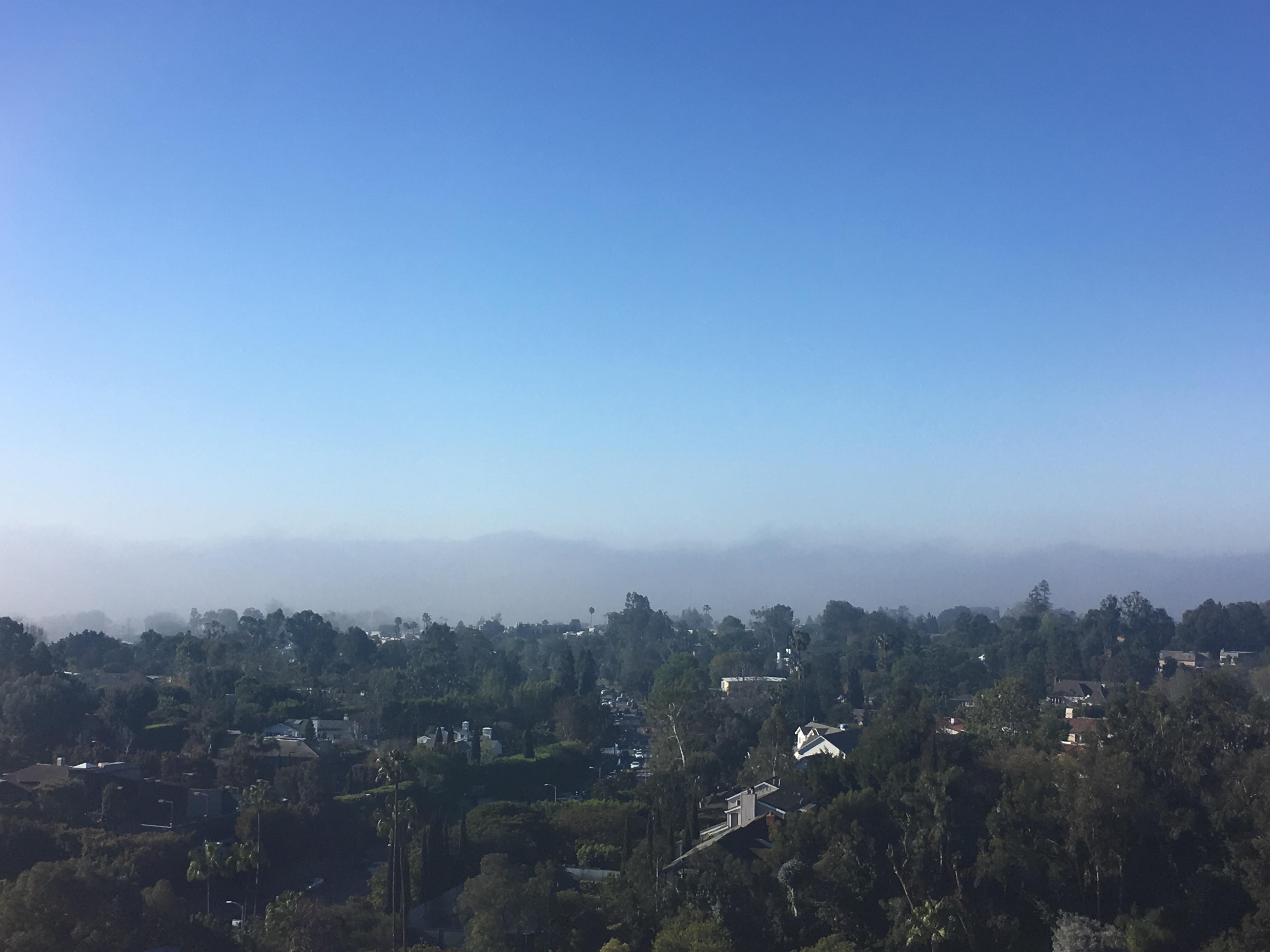 Room view