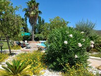 Garten mit pool
