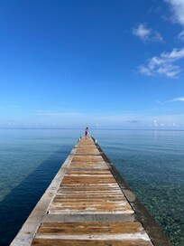 Dock with stairs to access the water, loved the view!
