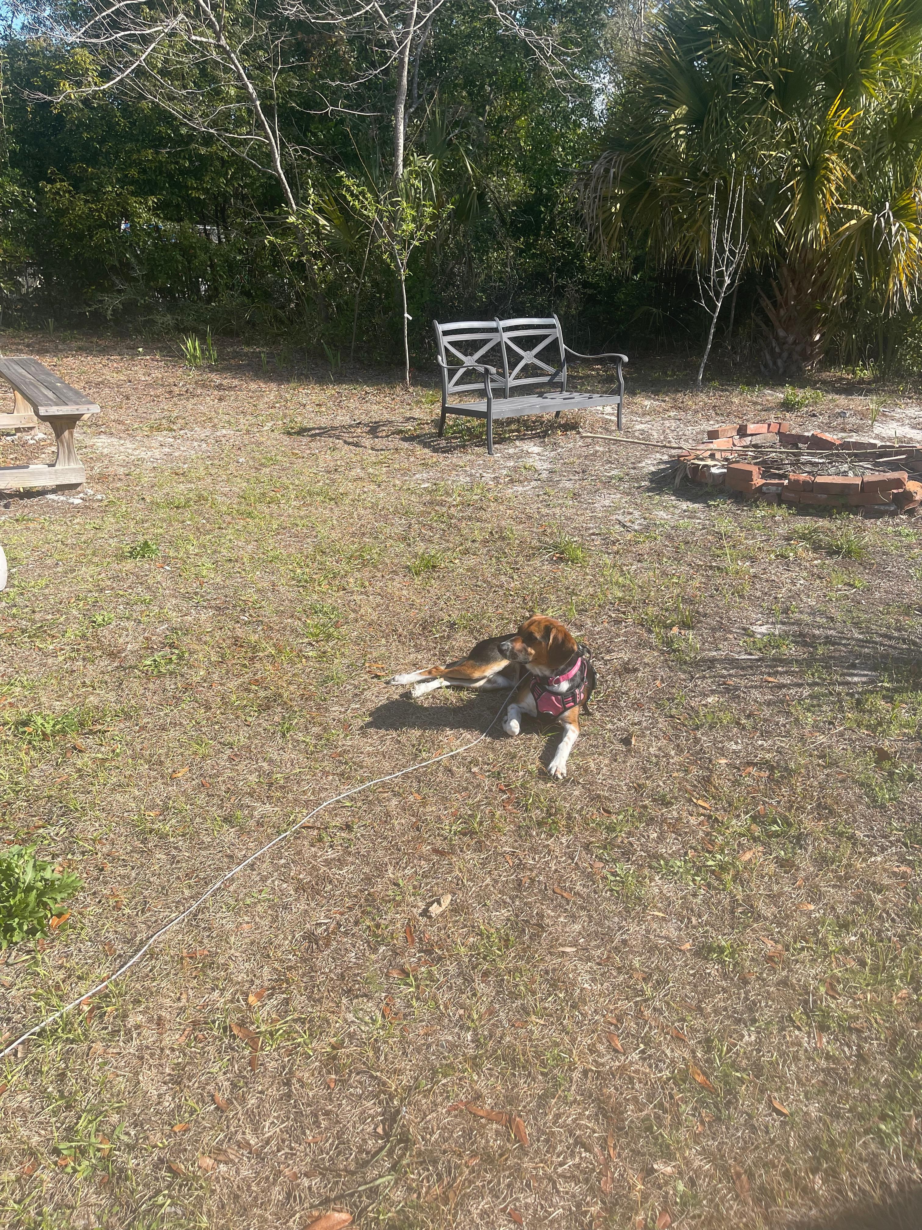 Back yard relaxation 