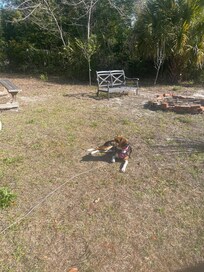 Back yard relaxation