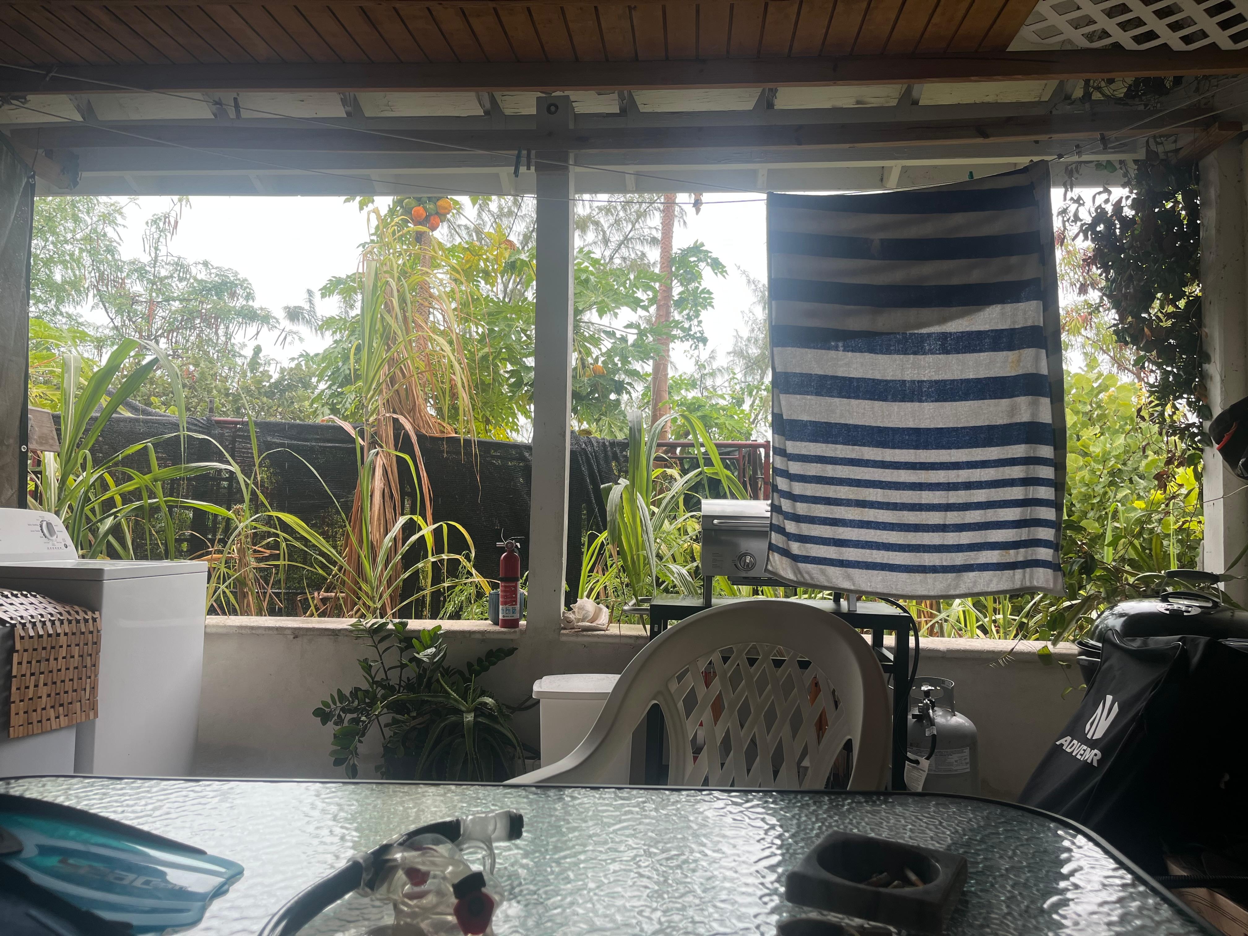 Looking out back porch from table