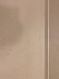 Shower floor