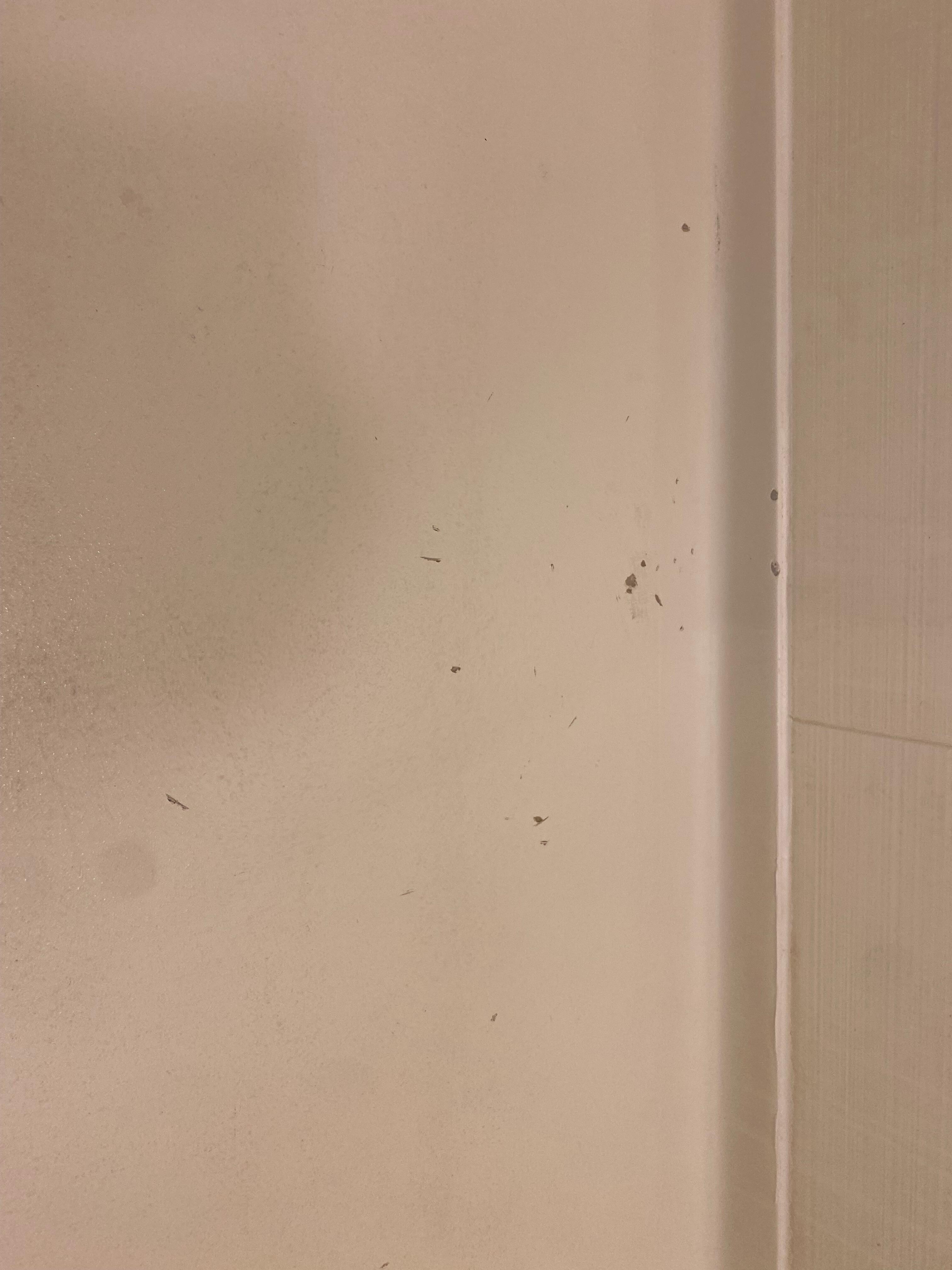 Shower floor