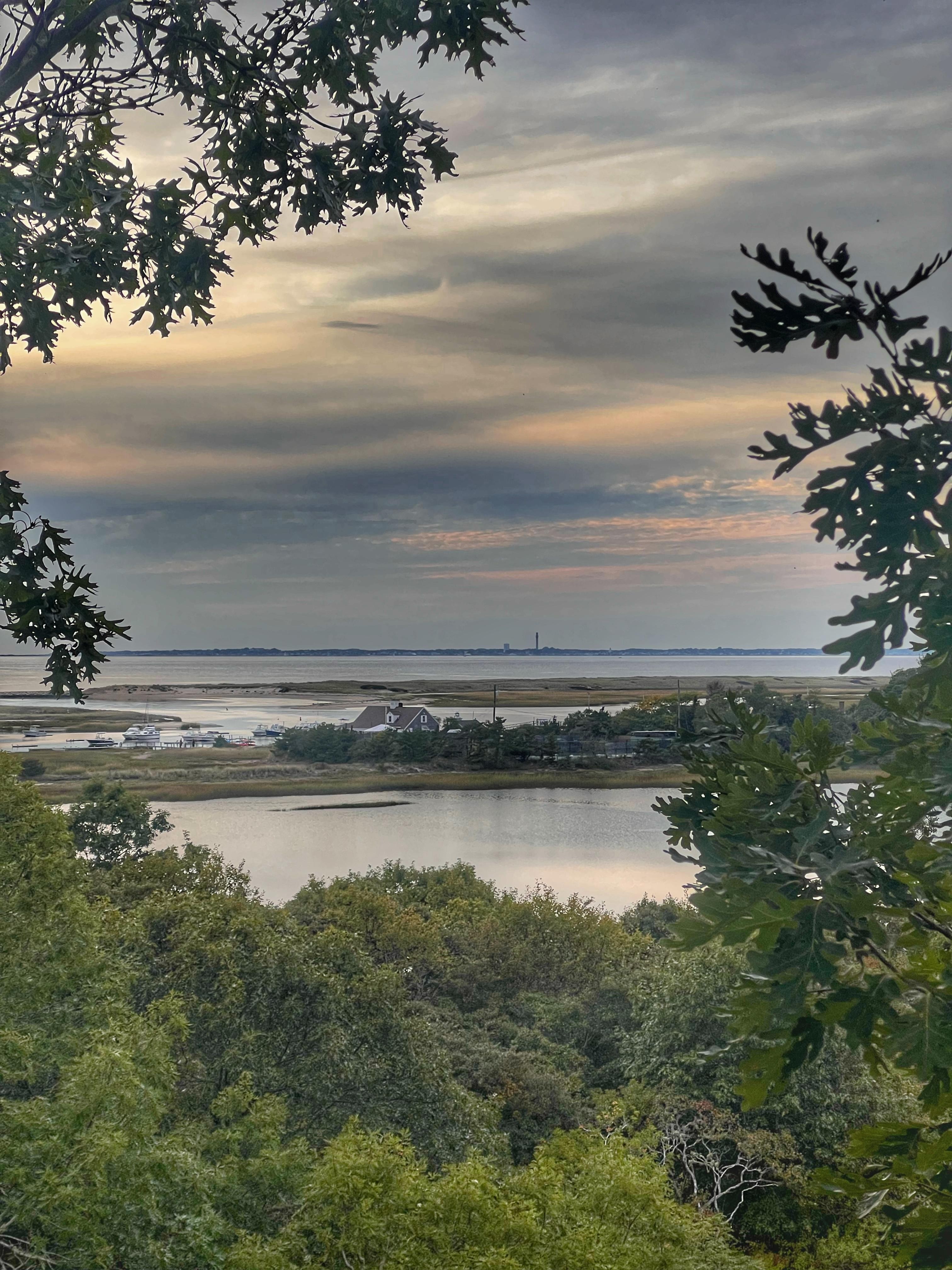A photo from the back porch