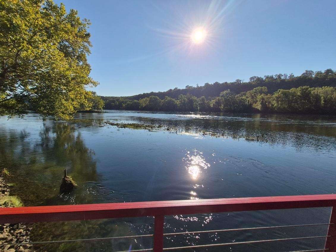 Early morning from the pier