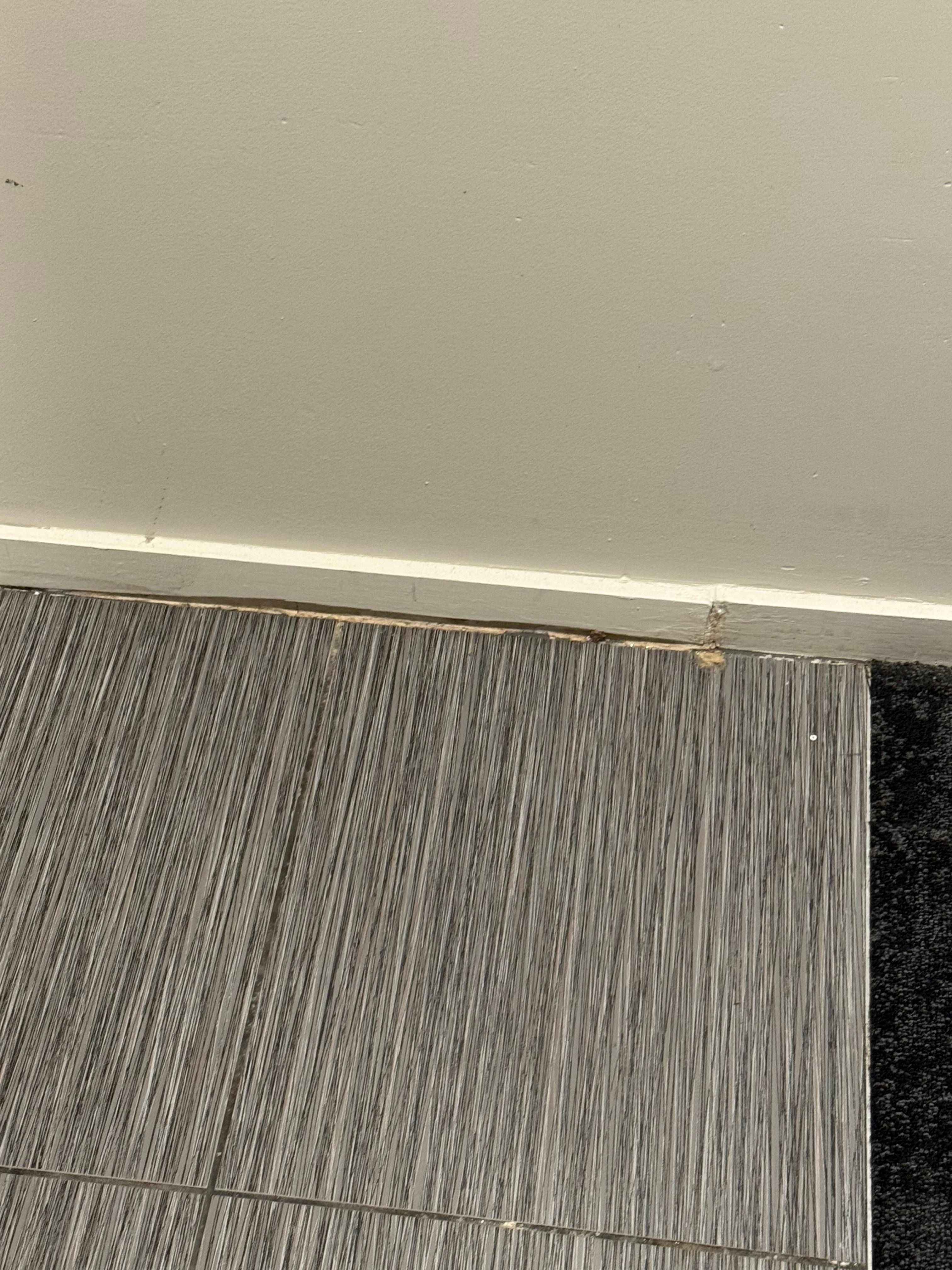 Damaged skirting