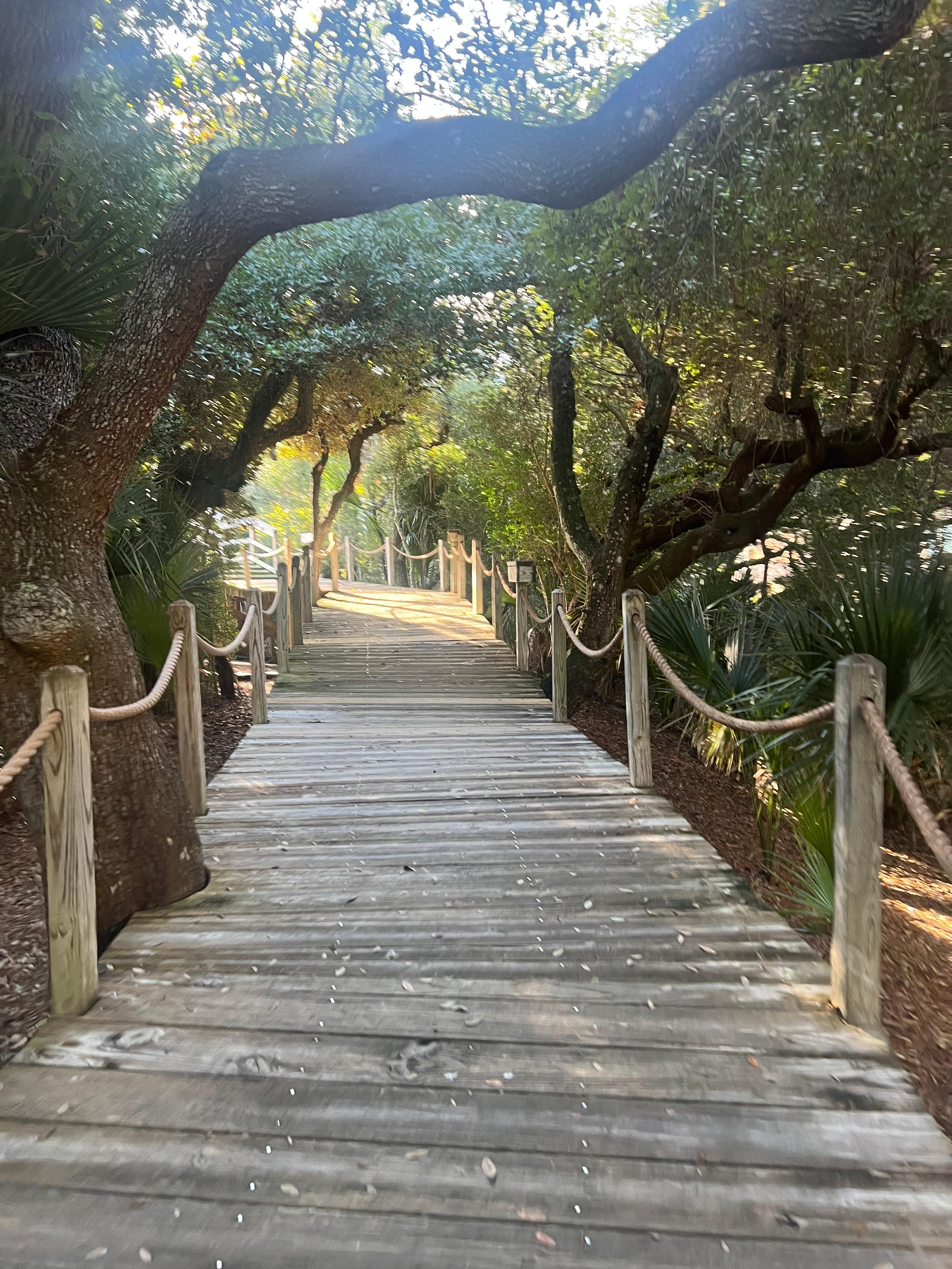 This was the boardwalk from the unit, to the pool and to the beach. Super accessible! 