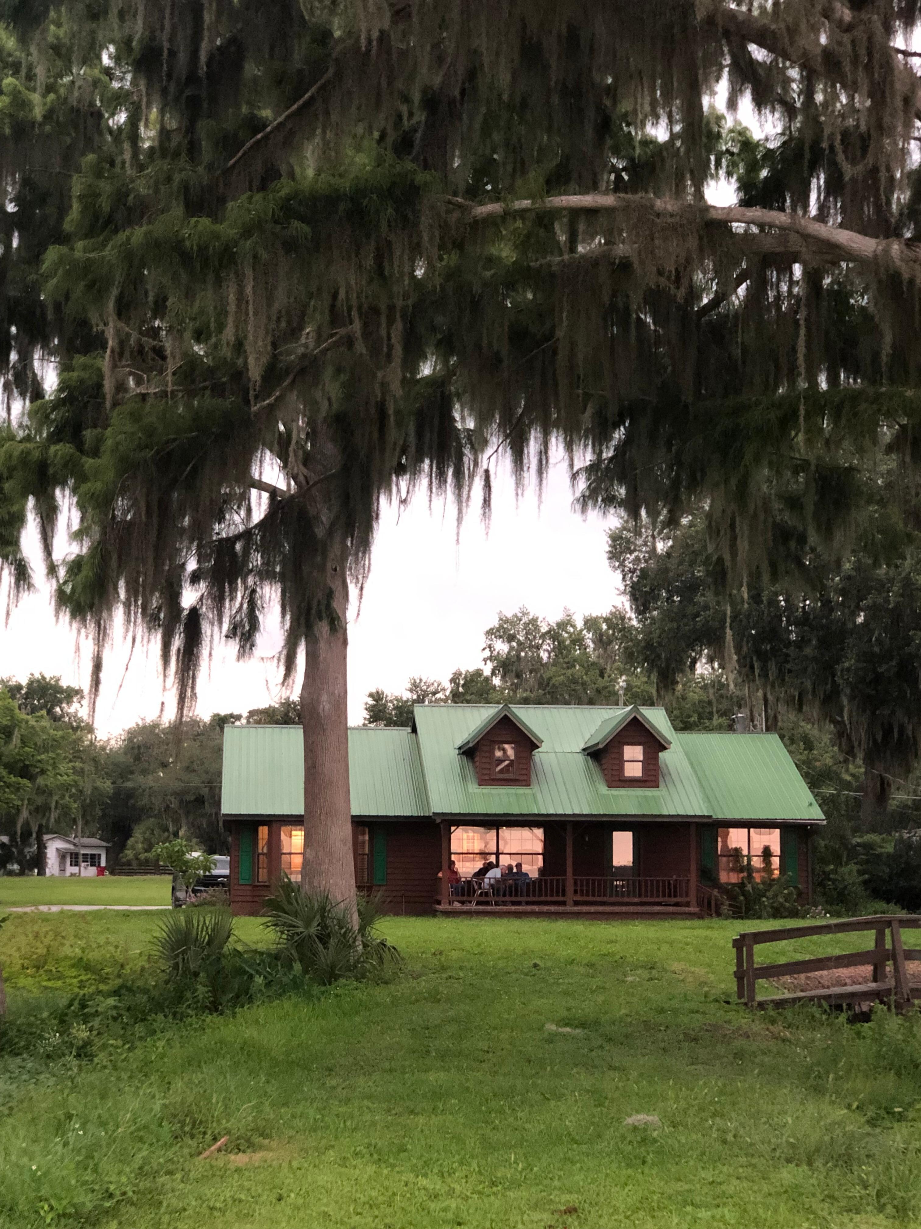 Evening view