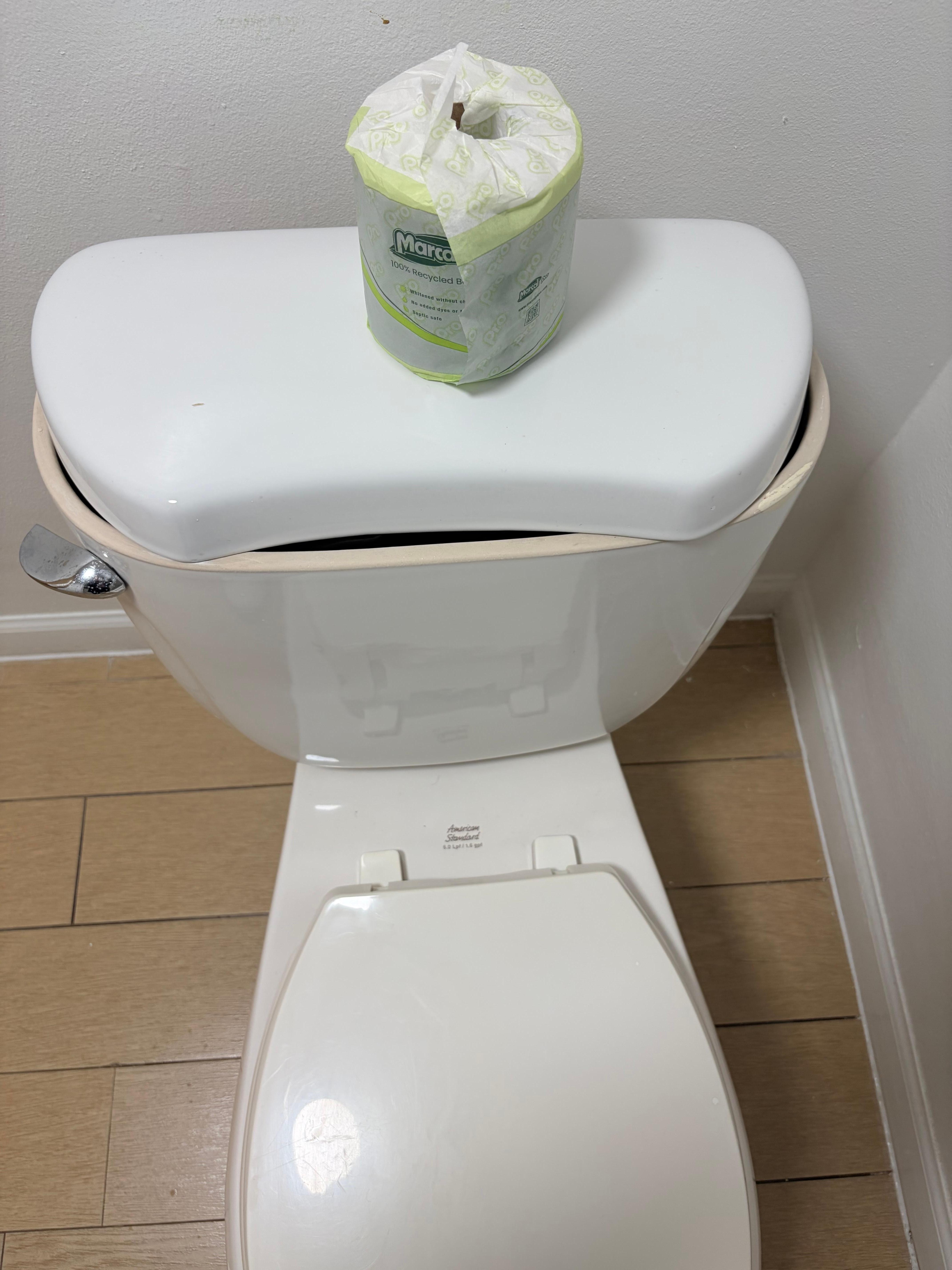 Toilet cover??