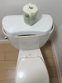 Toilet cover??