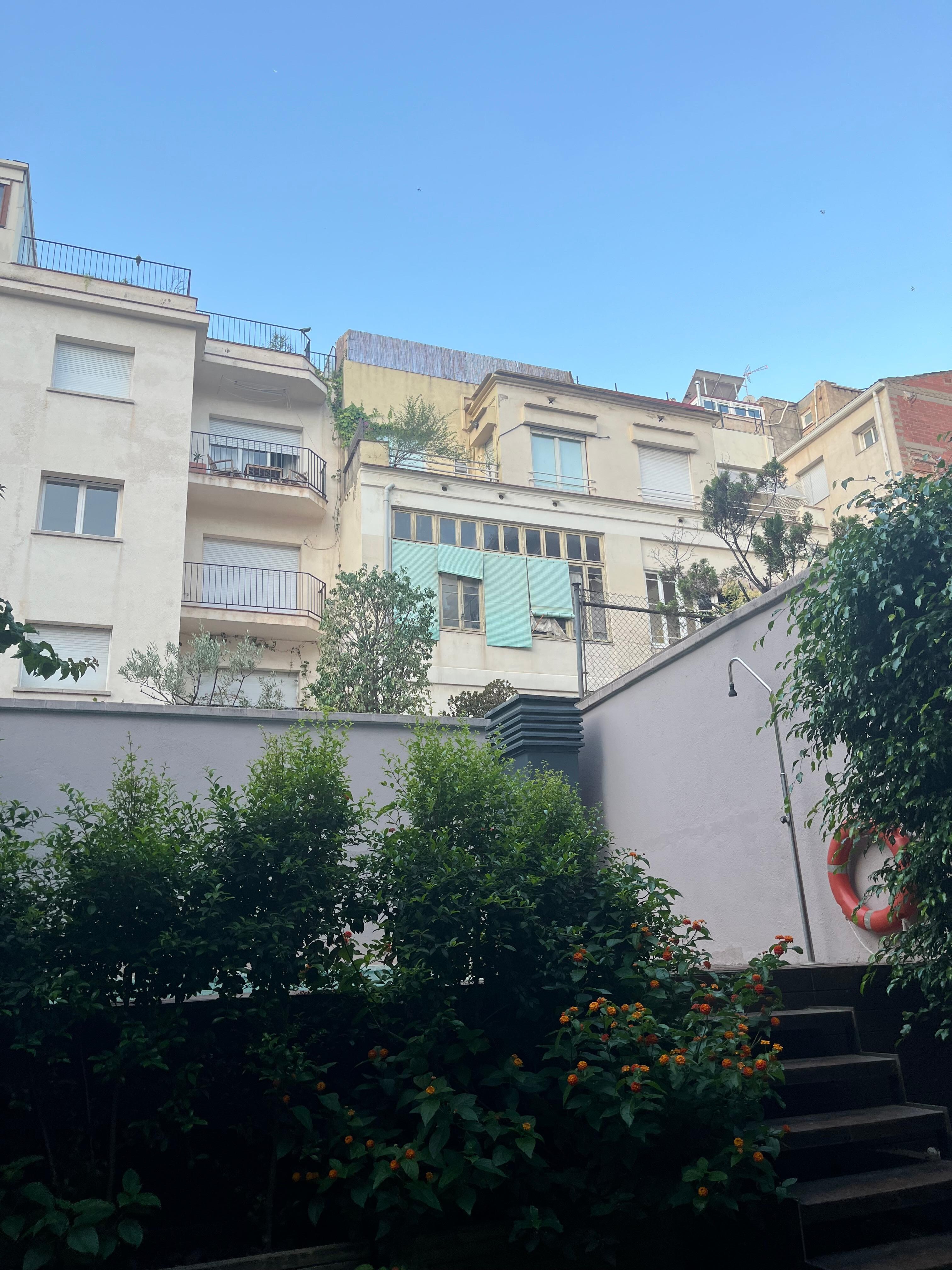 View from the backyard.