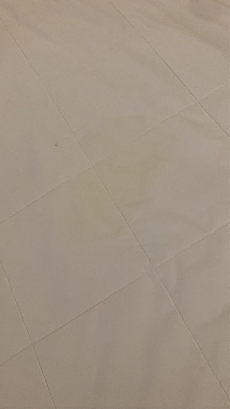 A pee stain maybe?