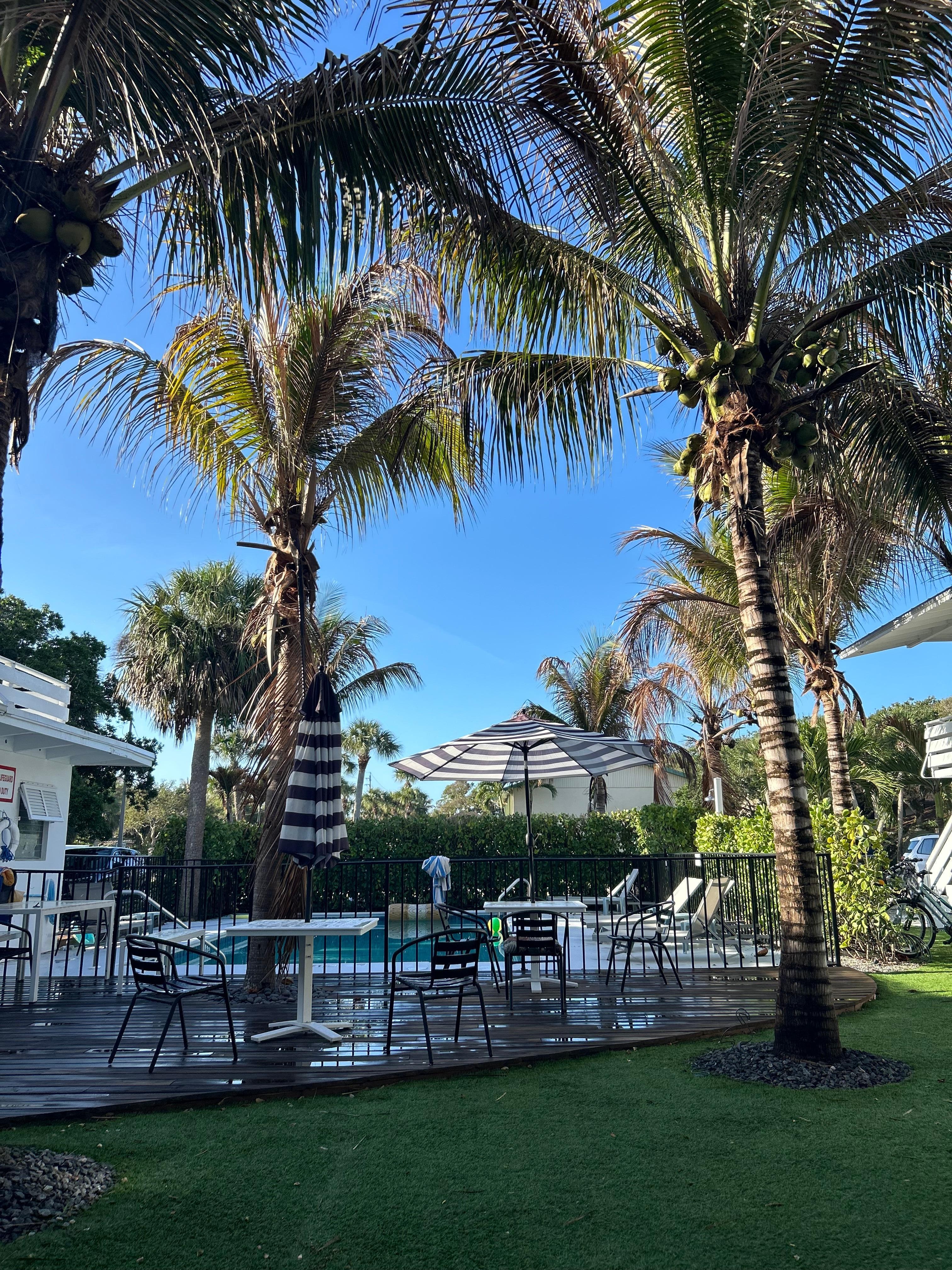 View from our favorite spot on the veranda just outside our room!
