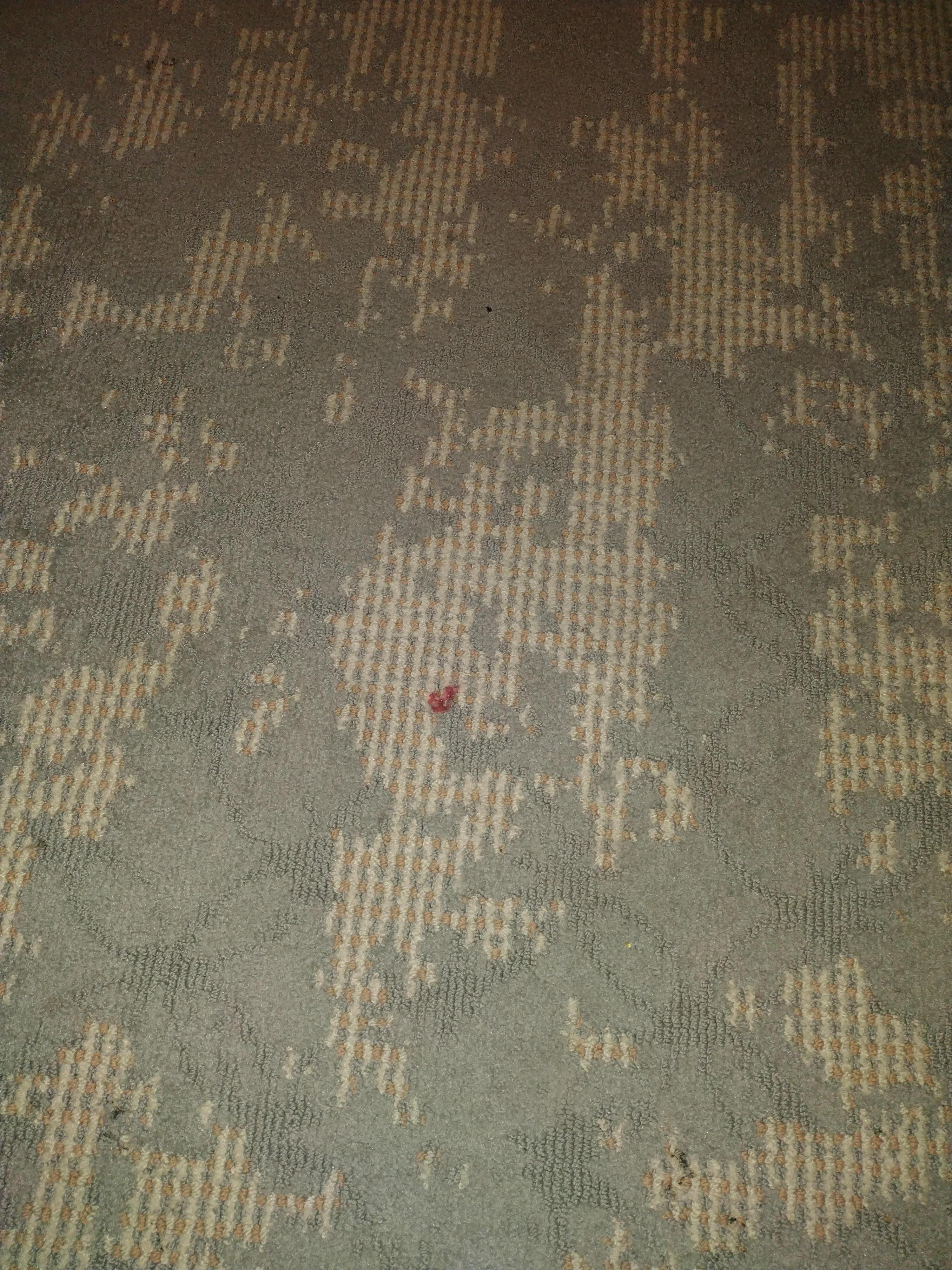 More of the red stain on the rug heading towards the bathroom 