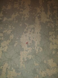 More of the red stain on the rug heading towards the bathroom