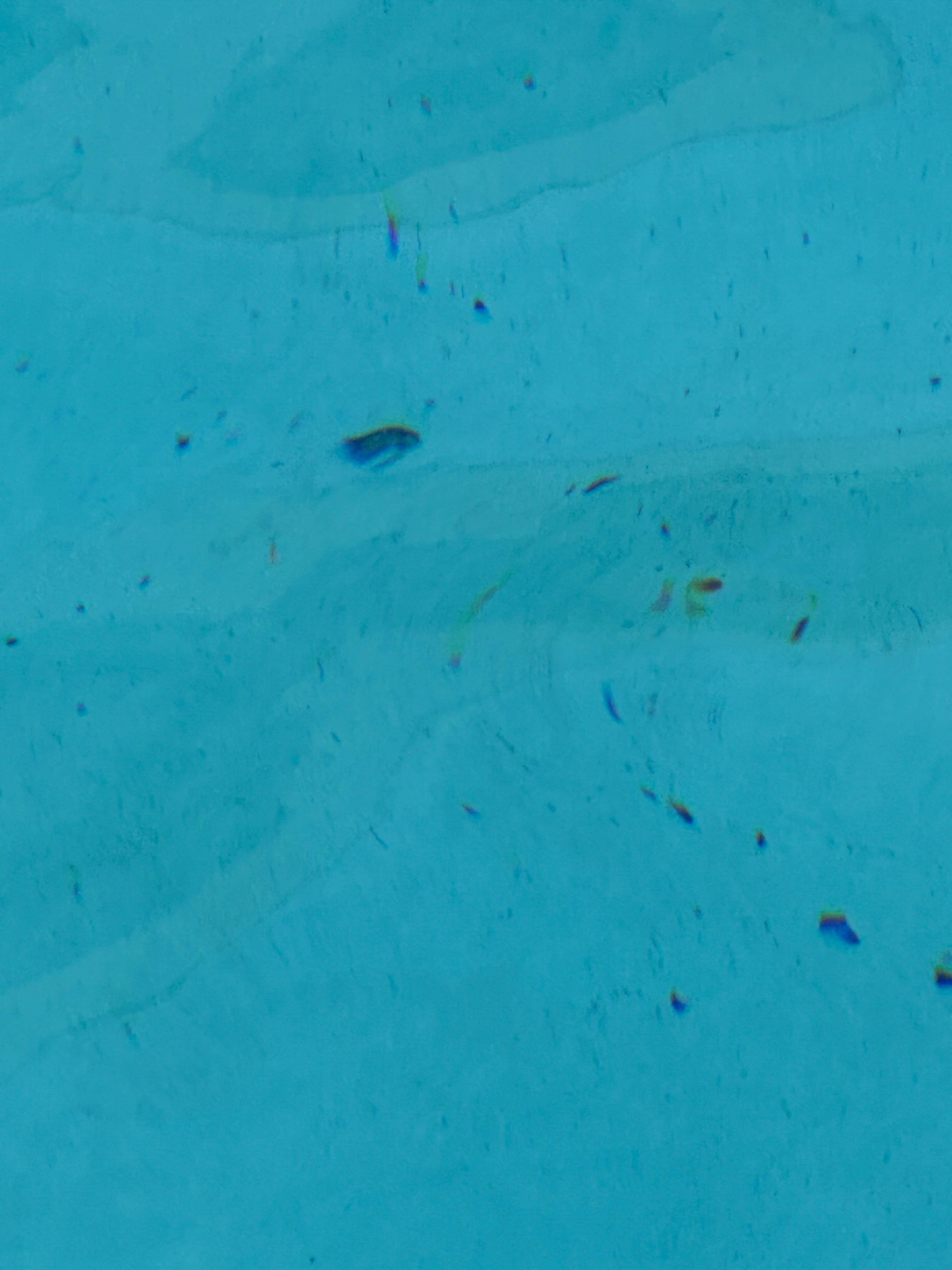 Entire pool looked like this. 