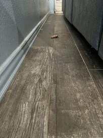 Dirt and wrappers left on the living room floor, just one of many places with visible dirt/dust/trash