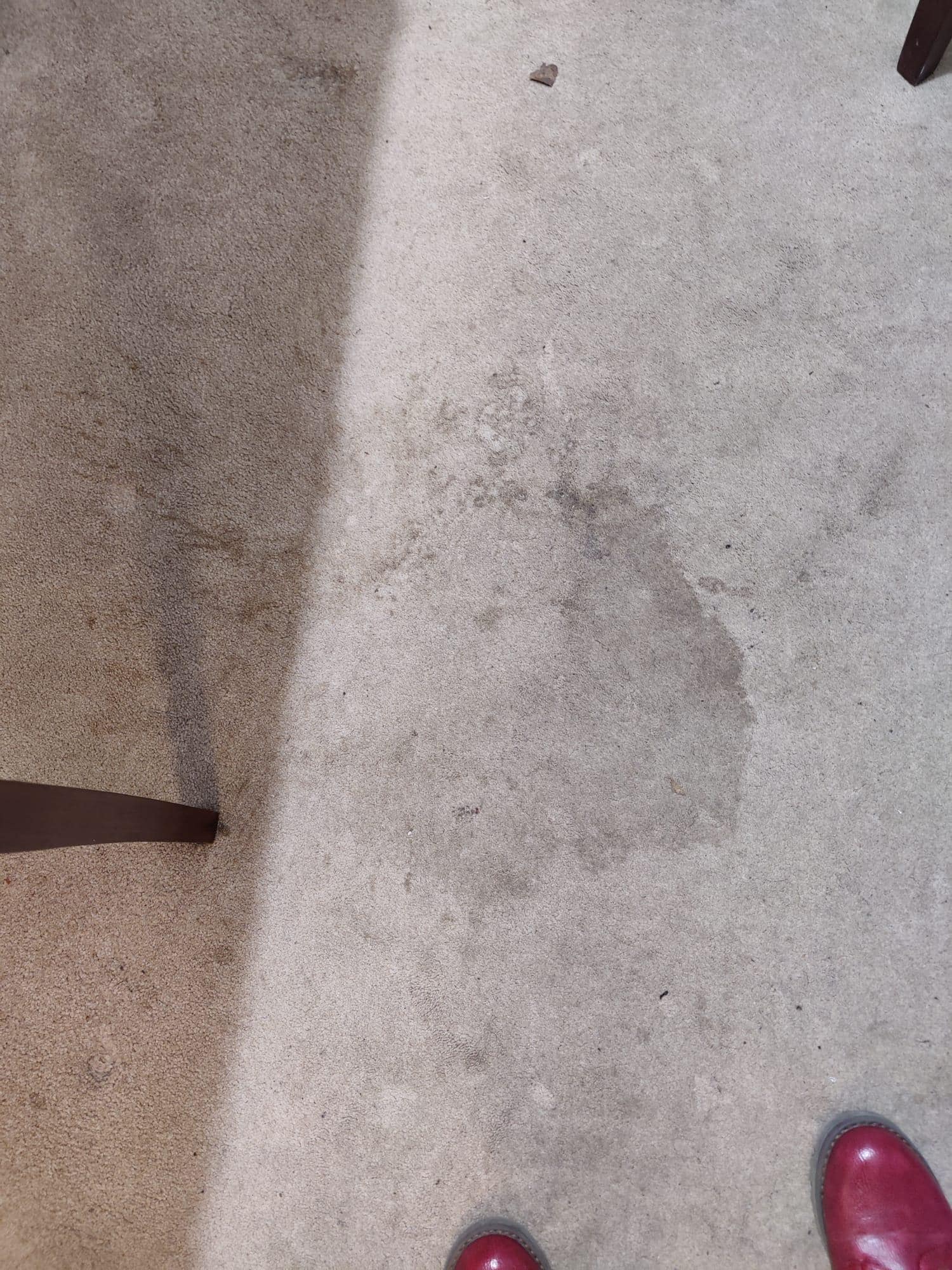 Room carpet, stain 2