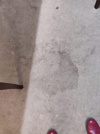 Room carpet, stain 2