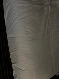 Sheets