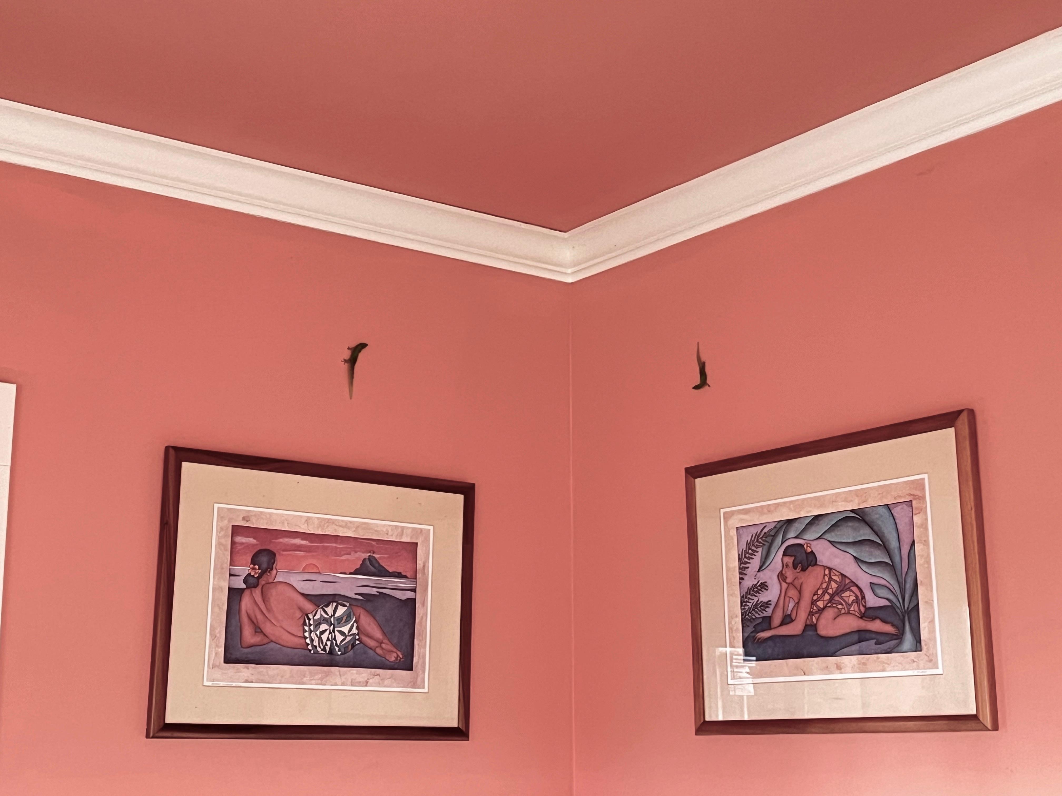 You will have little visitors that stay out of your way.