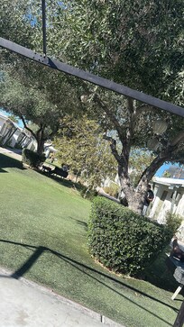 Cour intérieure, propre, reposante