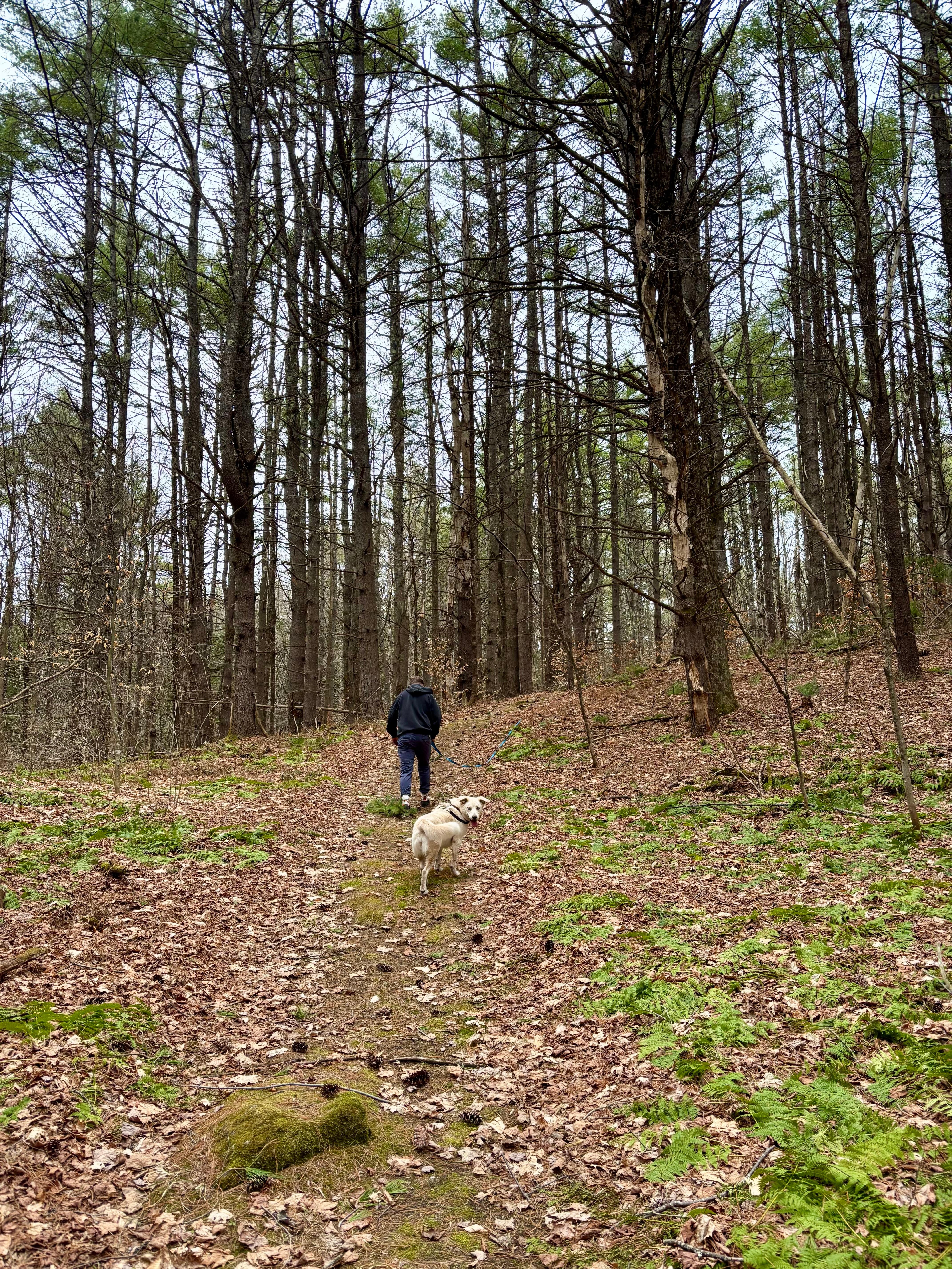 Trail on the property