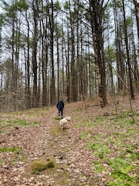 Trail on the property