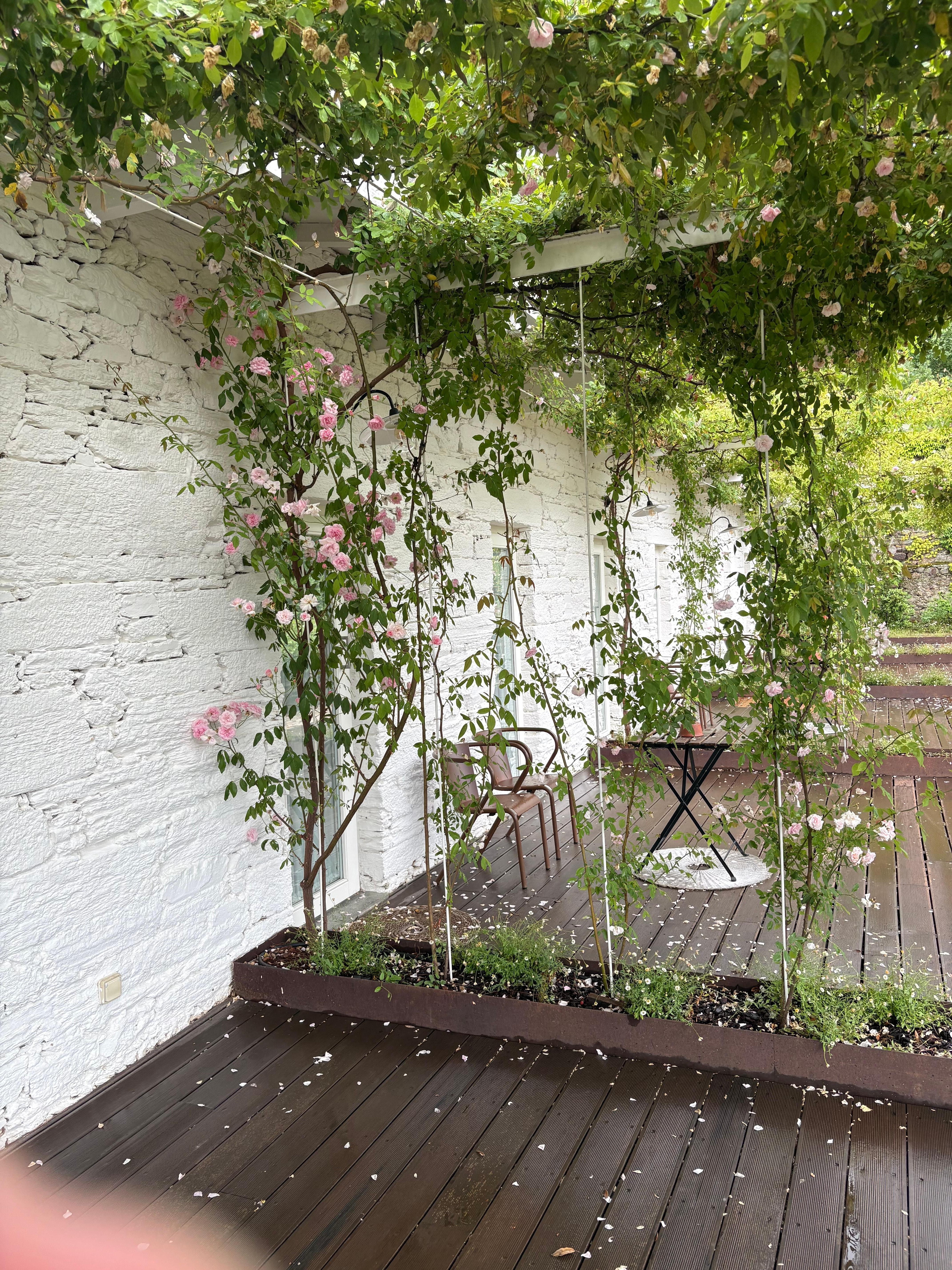 Garden room porch