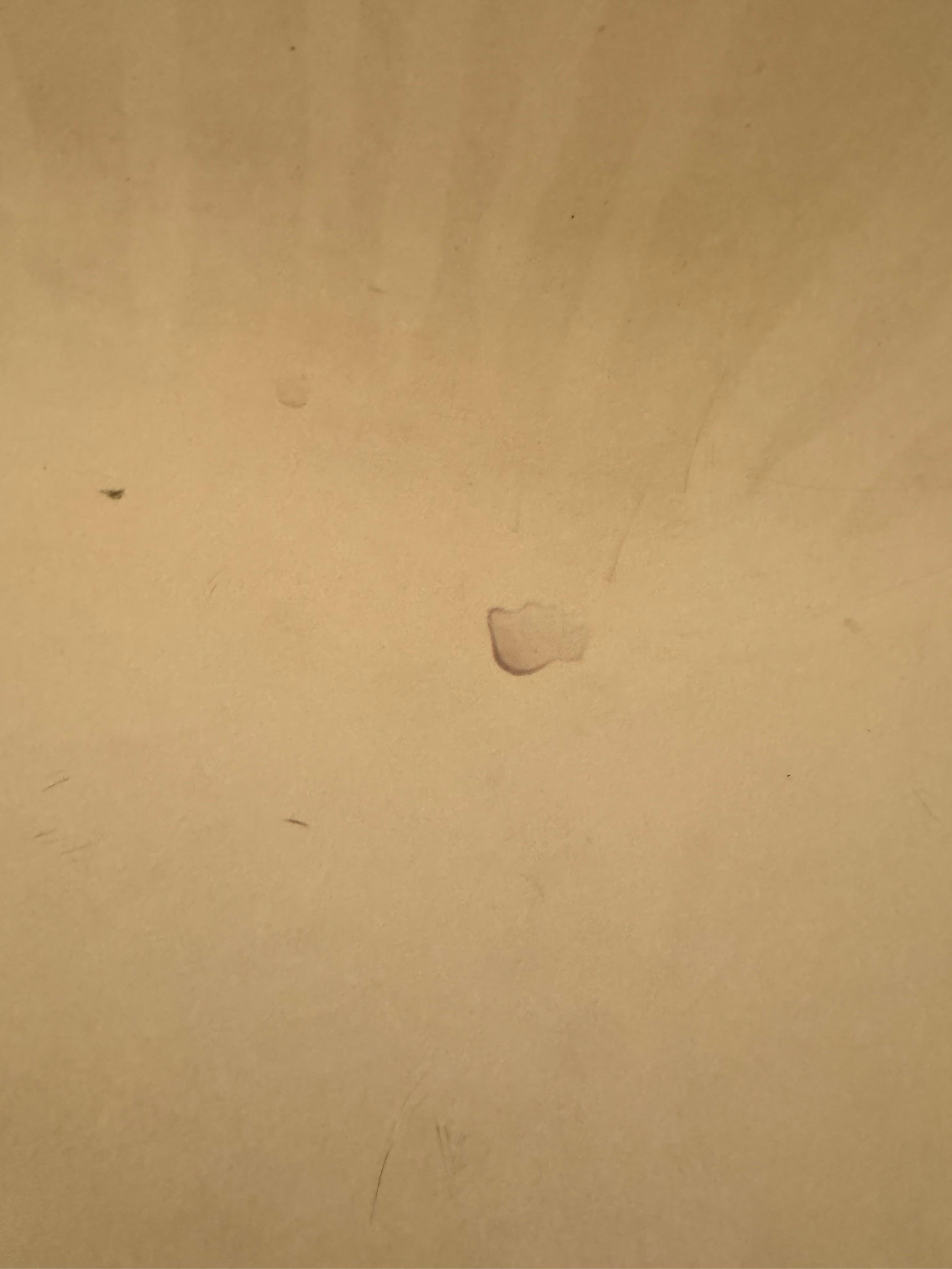 This is what the bathtub looked like.  Some sort of substance in the bottom.