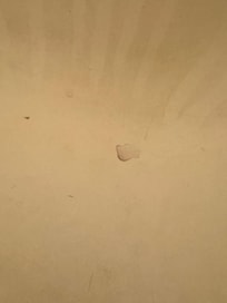 This is what the bathtub looked like.  Some sort of substance in the bottom.