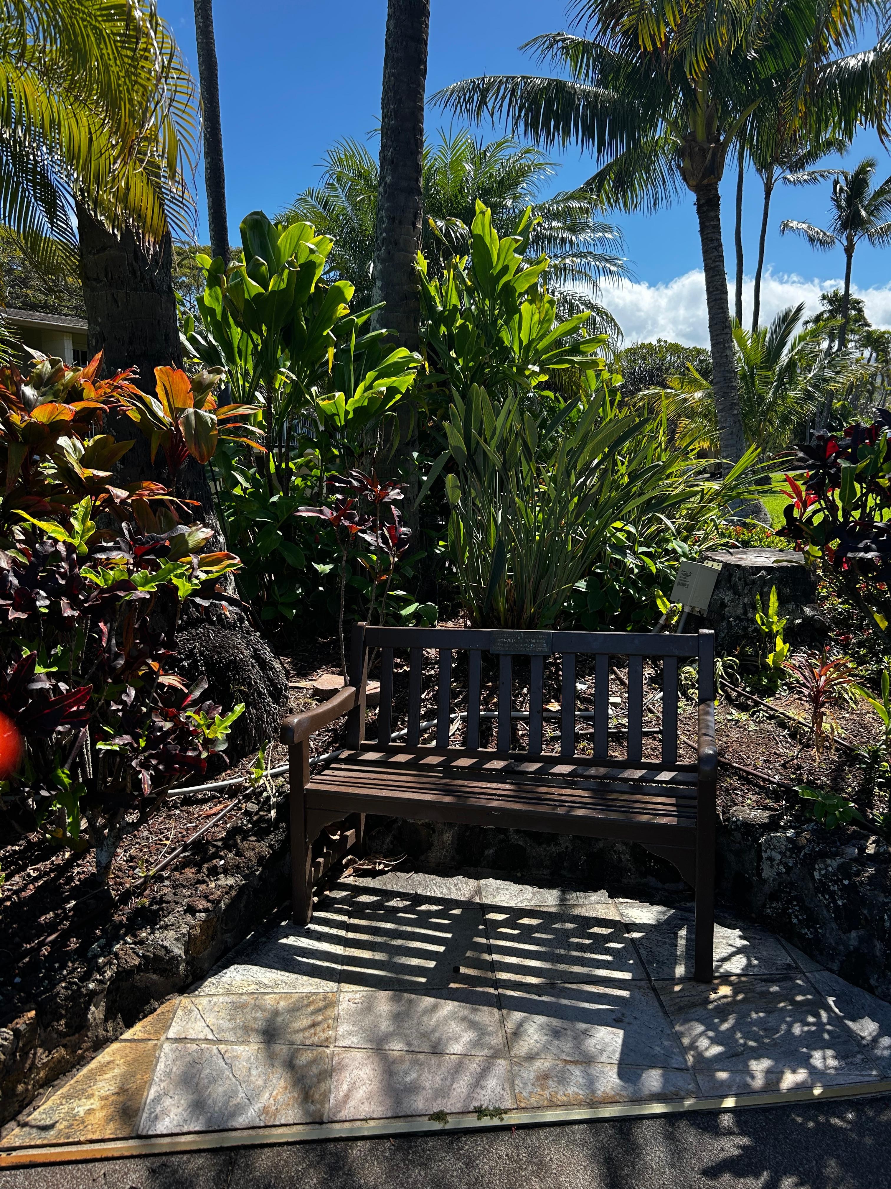 Garden oasis outside our condo.