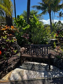 Garden oasis outside our condo.