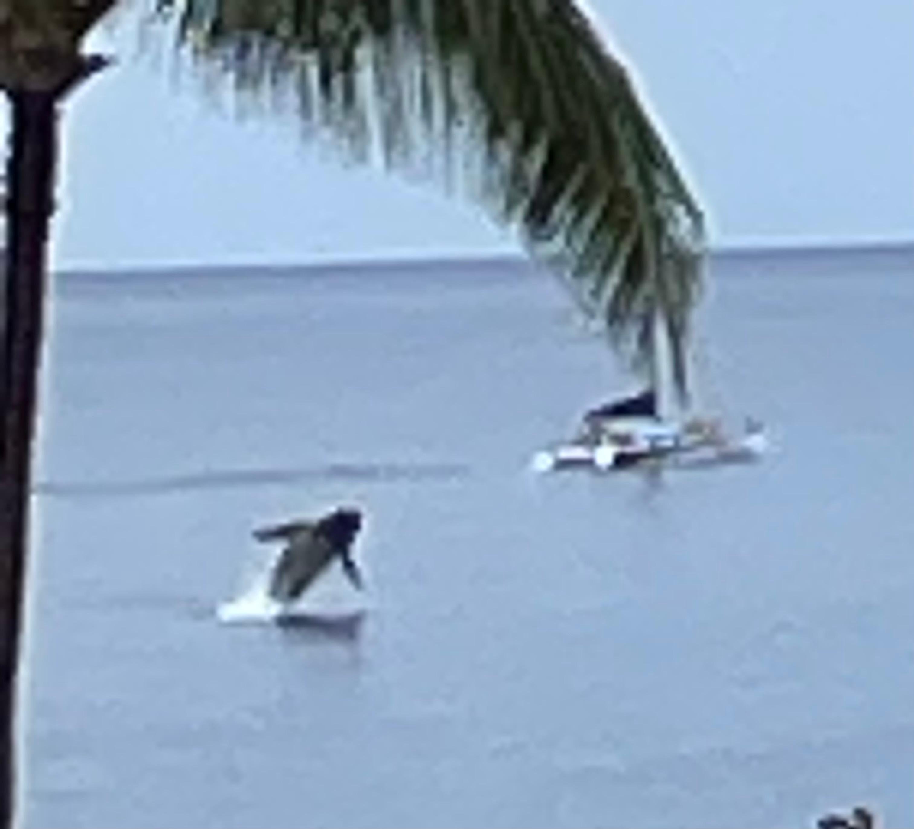 Whale breach view from our balcony. 