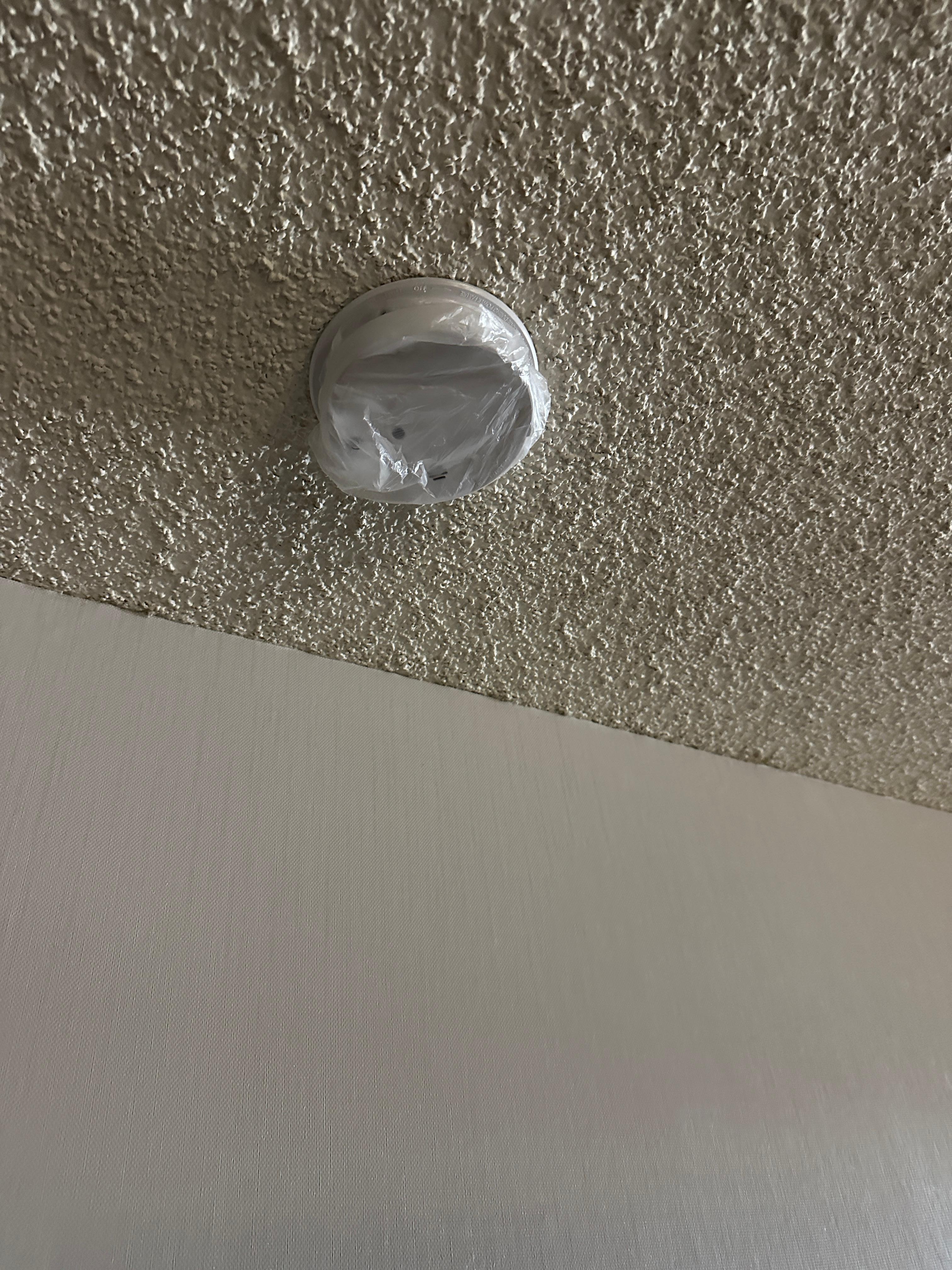 Bag covering smoke alarm